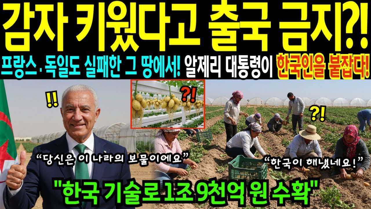 [해외감동사연] 세계 1위 한국 농업기술이 또 살렸다! 알제리 대통령도 감탄한 한국 기술자에 전세계 경악!