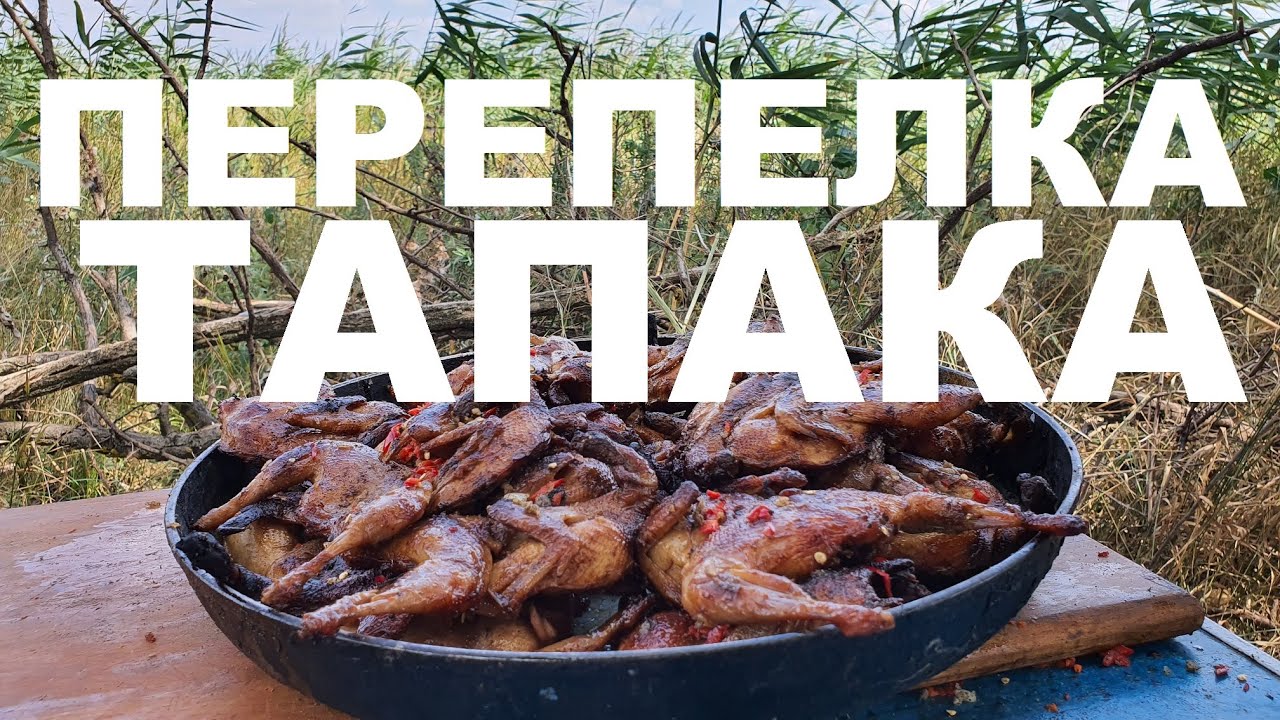 ПЕРЕПЕЛКА ТАПАКА НА ДРОВЯНОЙ СКОВОРОДЕ ОХОТА НА КУБАНИ РЕЦЕПТЫ СЮФ