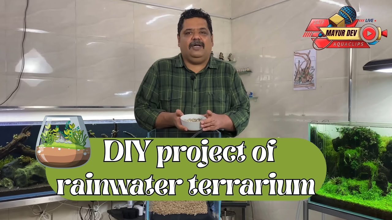 How to Make Realistic Terrarium RAIN at Home 