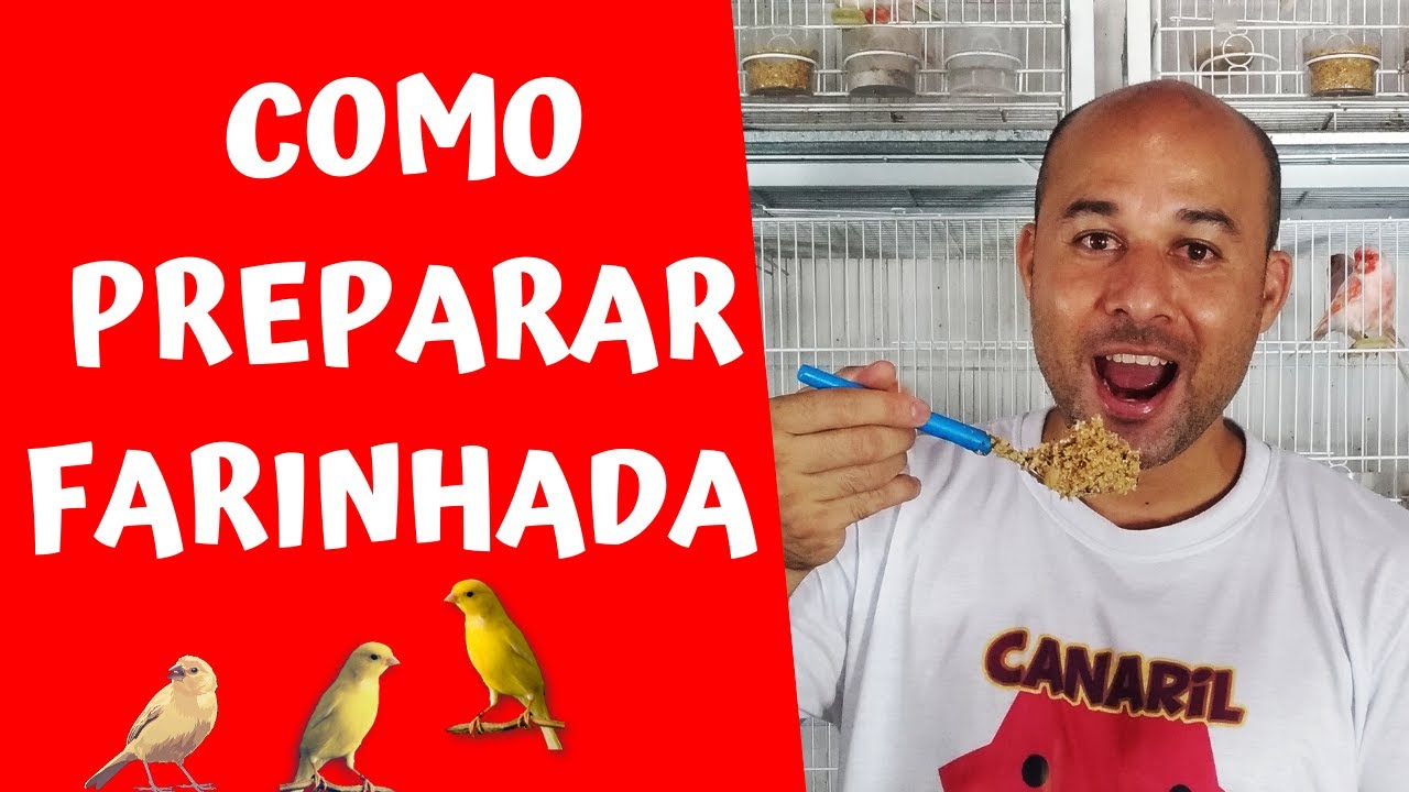 COMO PREPARAR UMA FARINHADA POTENTE PARA SEUS CANÁRIOS