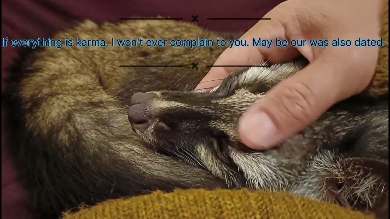 If everything is karma. I won't ever complain to you. May be our meeting was also fated. 💗🐿️☝️🙏