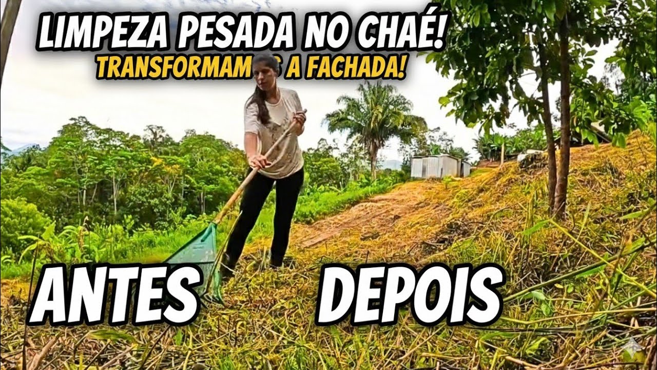 LIMPEZA RADICAL: Transformamos a frente do chalé! (Antes e Depois)