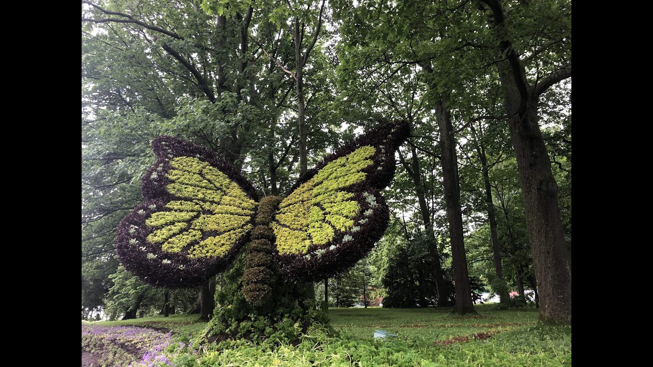 Après des mois de préparation, les Mosaïcultures prêtes pour le public
