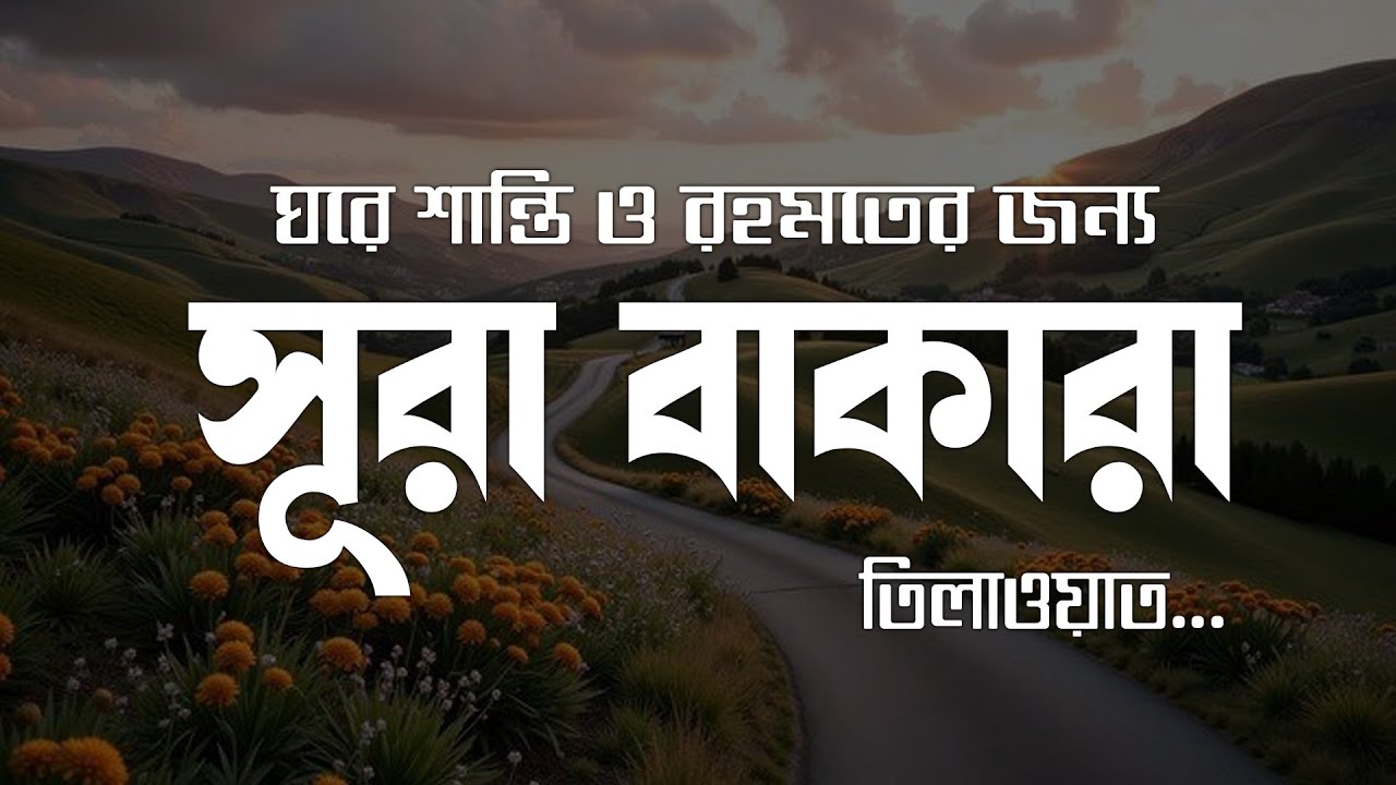 ঘরে শান্তি ও রহমতের জন্য সূরা আল বাকারা । Surah Baqarah Full Quran Recitation by Alaa Aqel