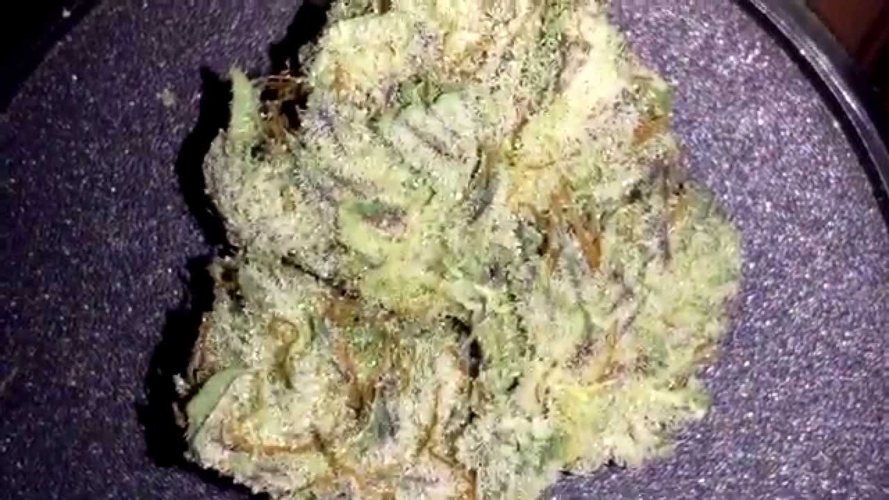 4 Amazing Purple Strains- HD Weed Porn