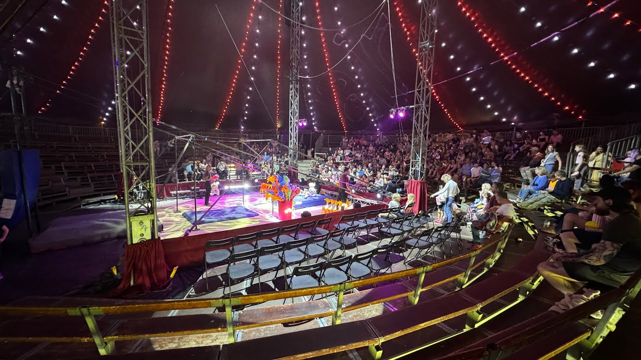 Circus Zyair