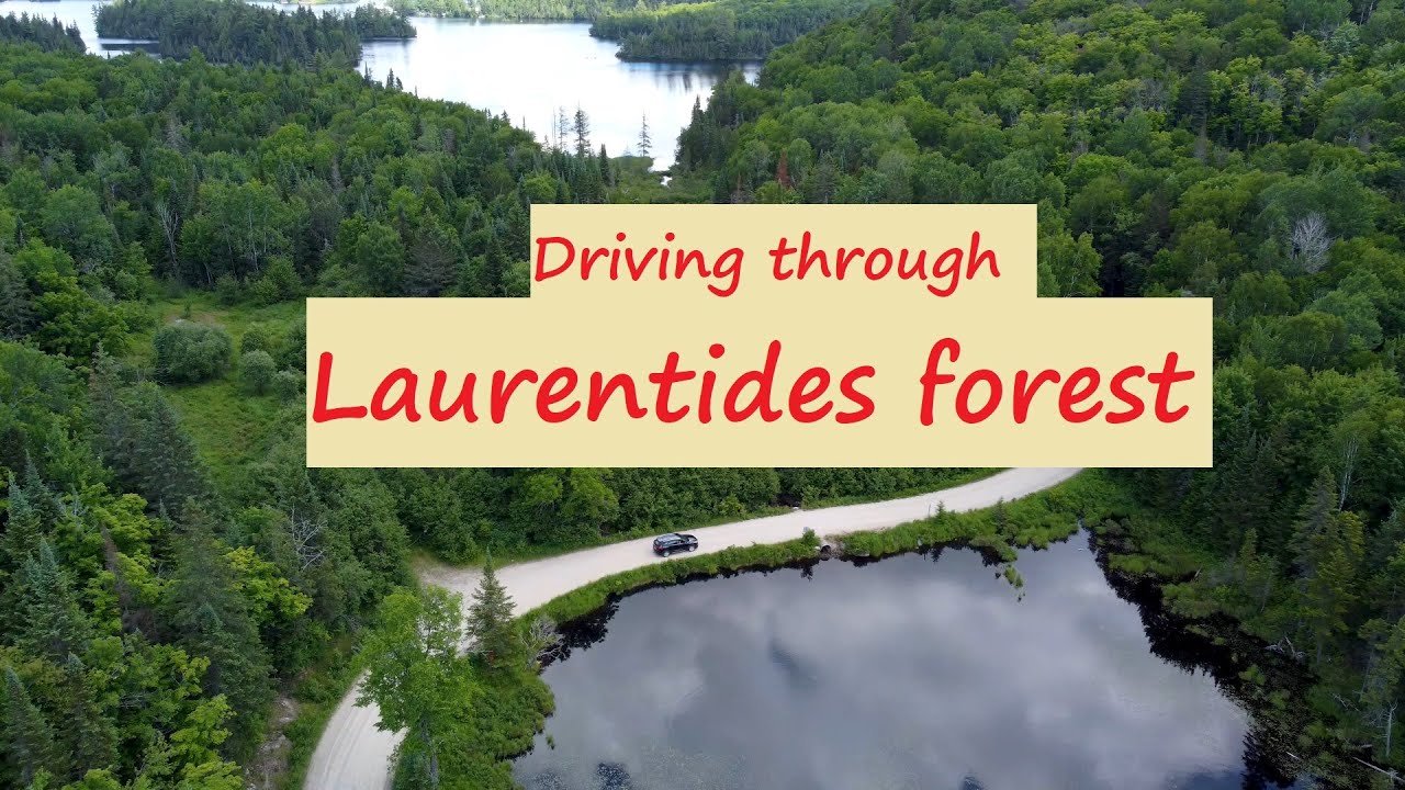 4K Drone Footage (DJI Mini 2) - Driving through Laurentides forest, Quebec, Canada