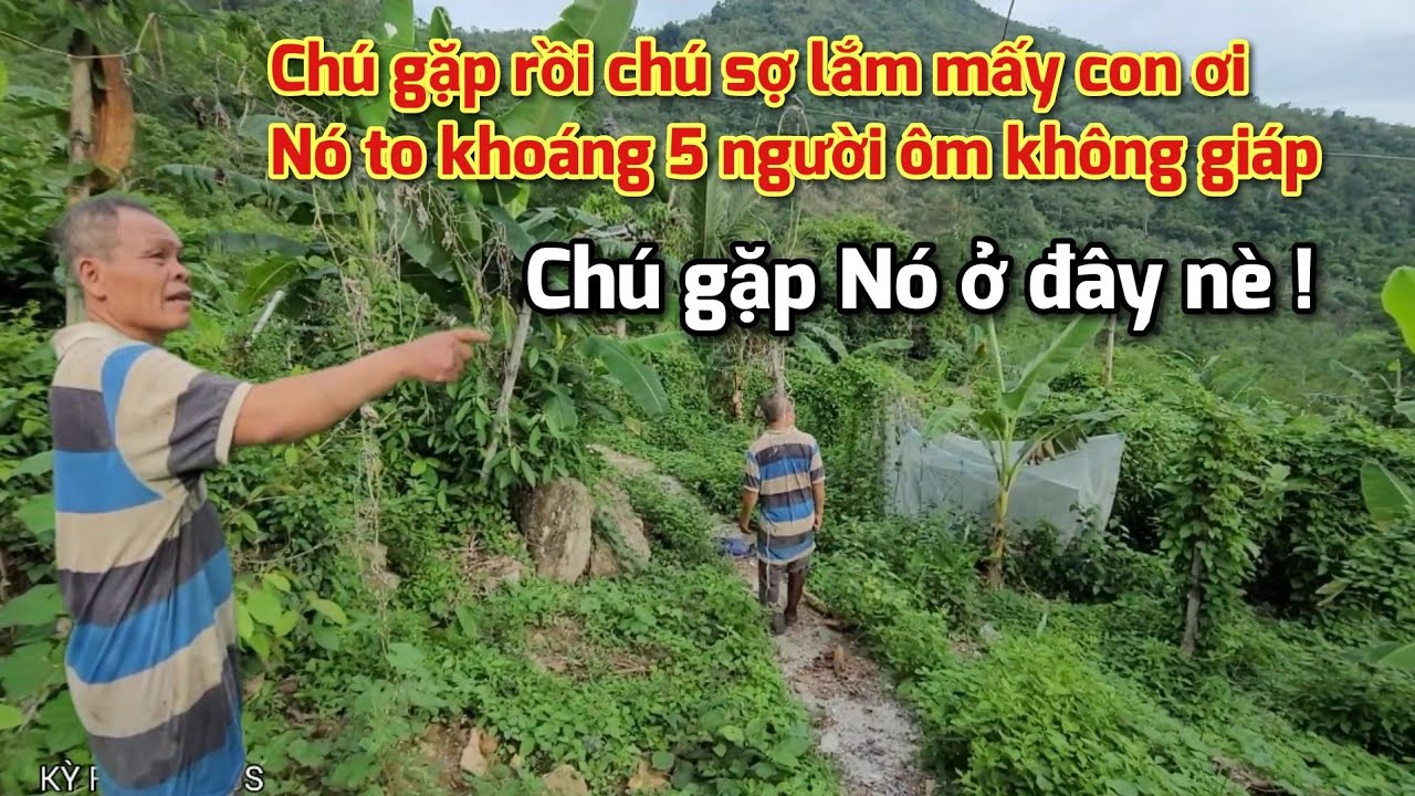 Nổi ốc Người đàn ông gặp chuyện kinh khủng ở Núi Cấm lúc 11h đêm nghe mà ớn lạnh