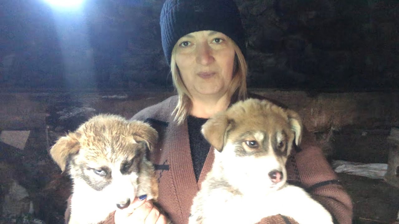Եկեք ասեմ ինչ կա չկա❤️