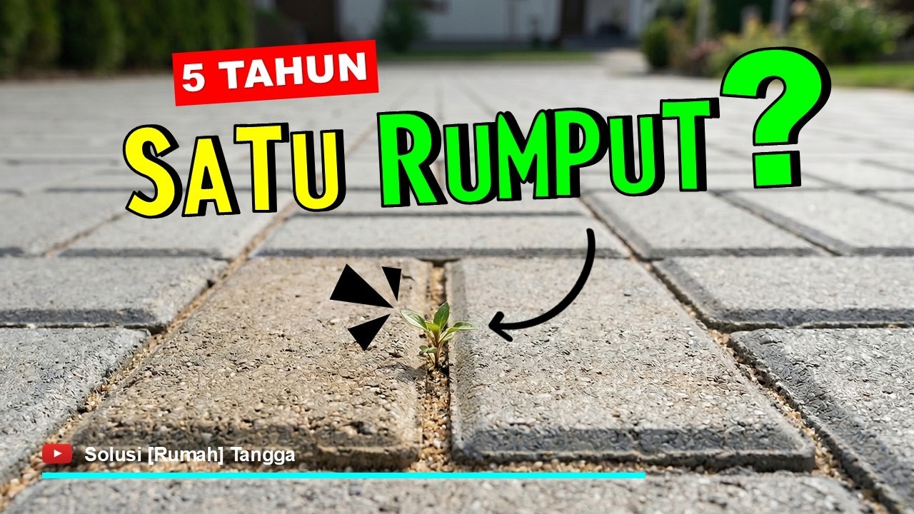 Rumput di Sela Paving Bikin Kesal? Begini Cara Menghilangkannya Sampai Tidak Tumbuh Lagi!