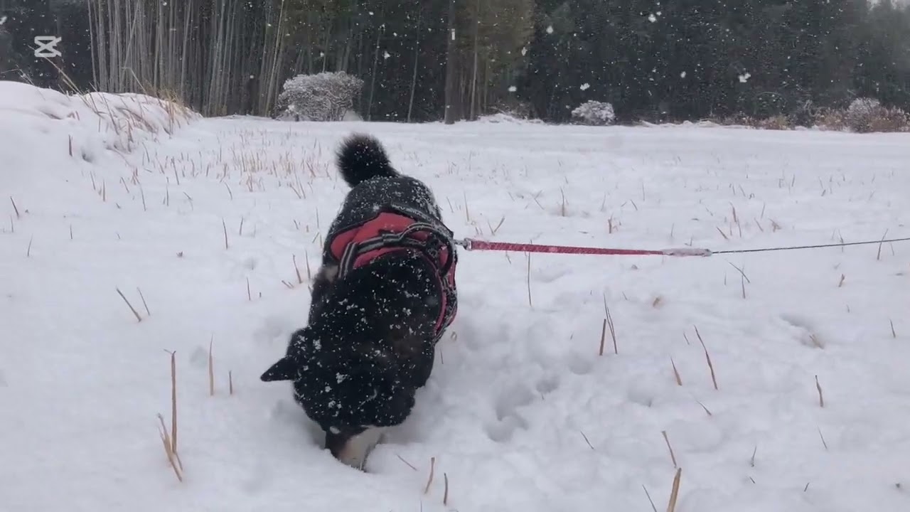 2026.2.8☃️