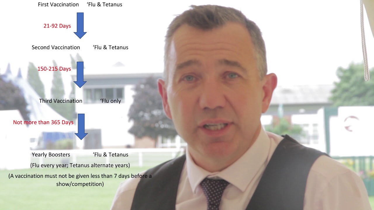 Simon Constable Equine Vets gives advice on Vaccinations for HOYS