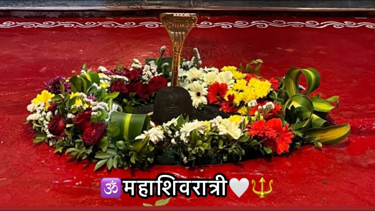 रात्री 12 ला गेलो मंदिरात रांगोळी काढला🍥आणि महाशिवरात्री ला केली 50 किलो साबुदाणा खिचडी😳🔱