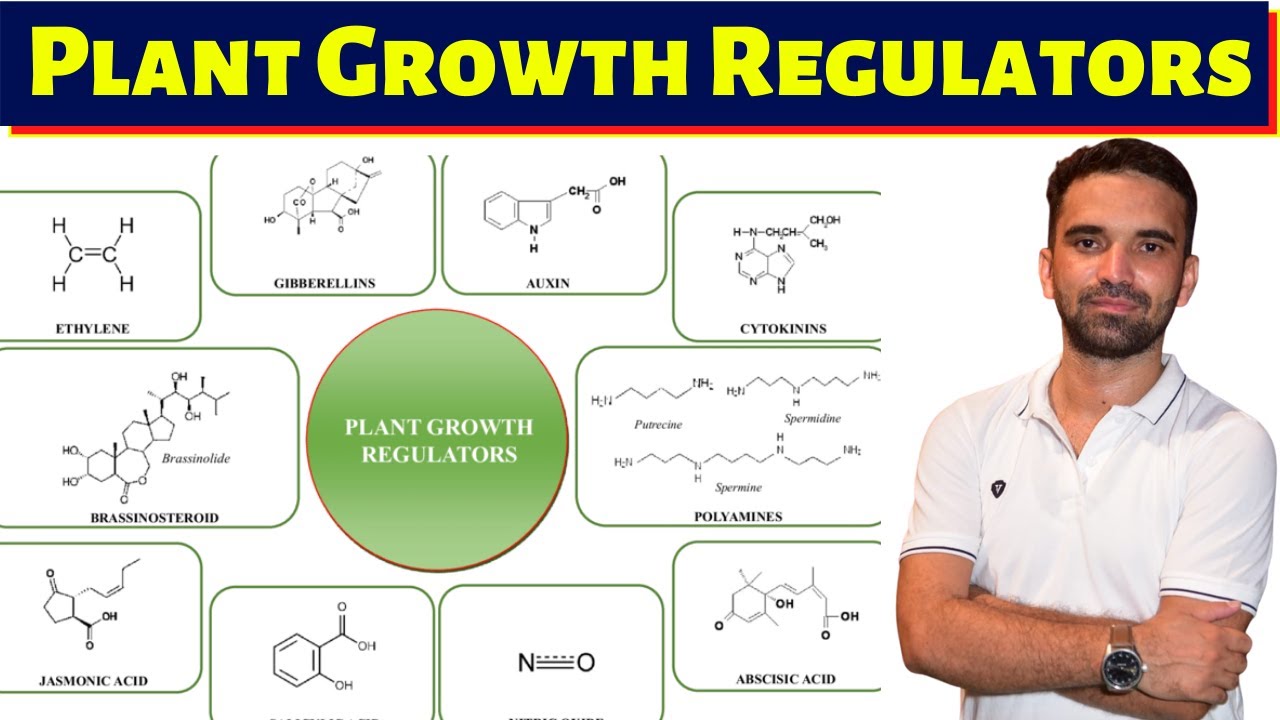 Plant Growth Regulator || AFO, NABARD, NSC, Pre-PG, AO, AAO, AO, HO, ADO ||