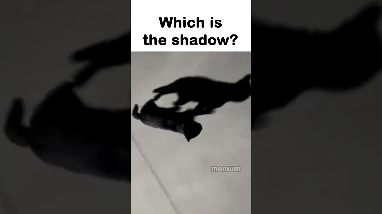 Which one's the shadow?