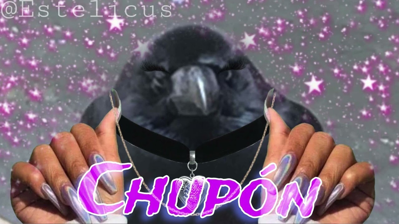 Chupón - Focus
