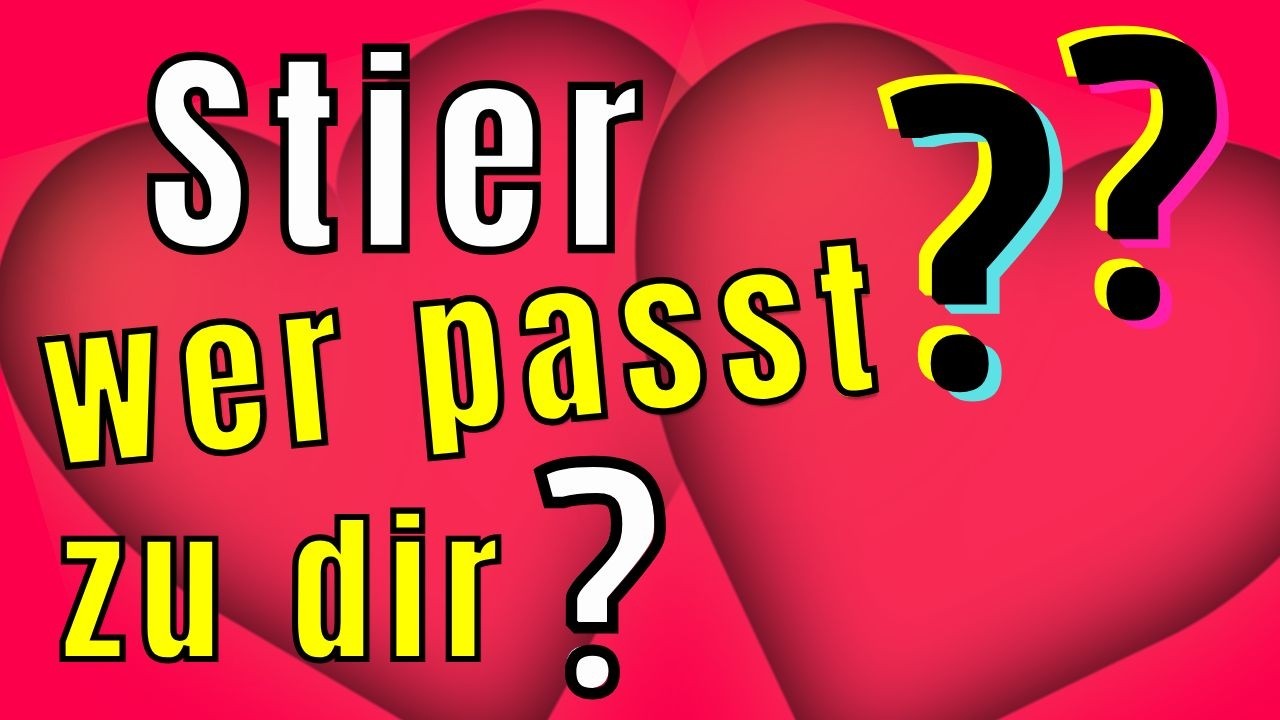 STIER -Astrologie - Welches Sternzeichen passt zu dir?