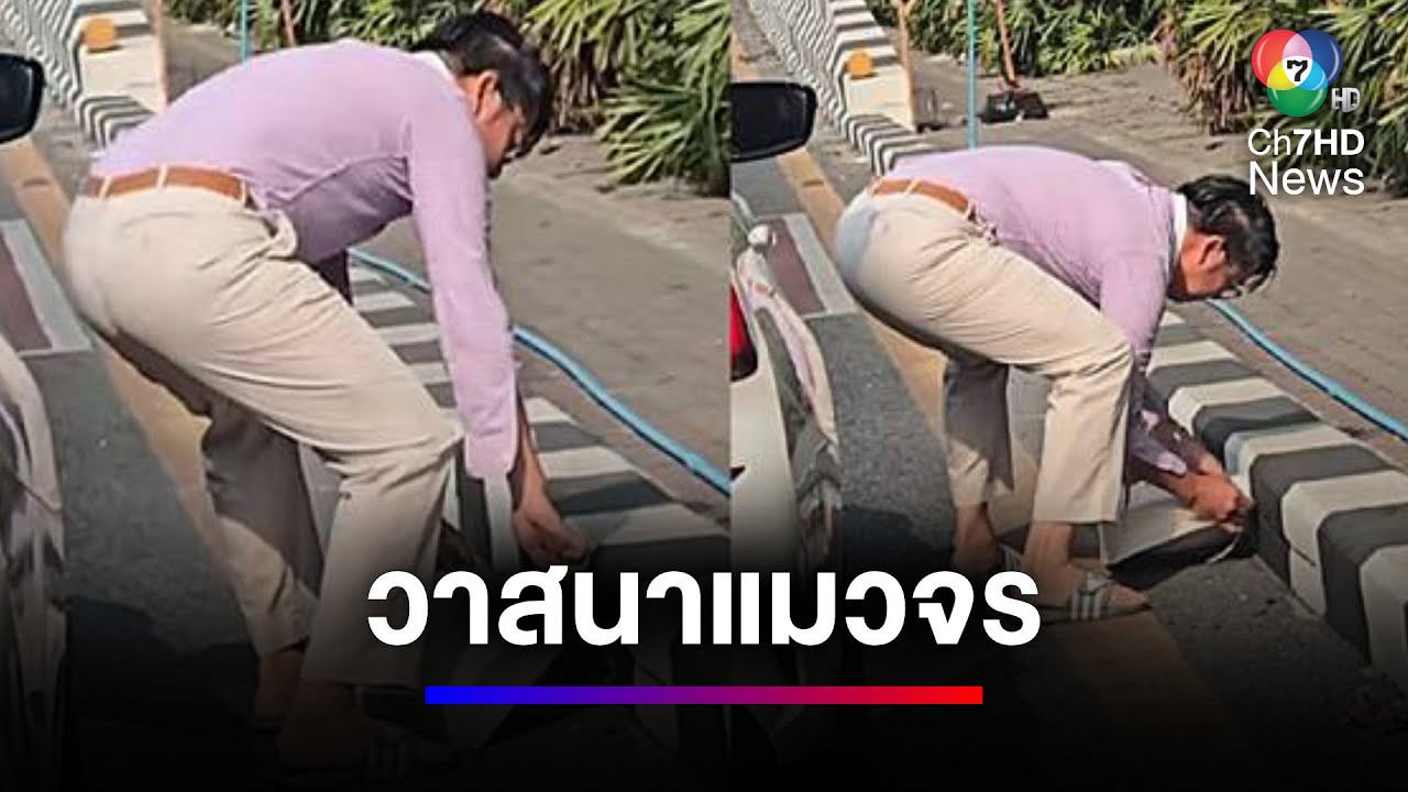 วาสนาเหมียว สามี-ภรรยานักธุรกิจ ลงจากรถหรูเก็บแมวข้างถนน | สนามข่าวเสาร์-อาทิตย์