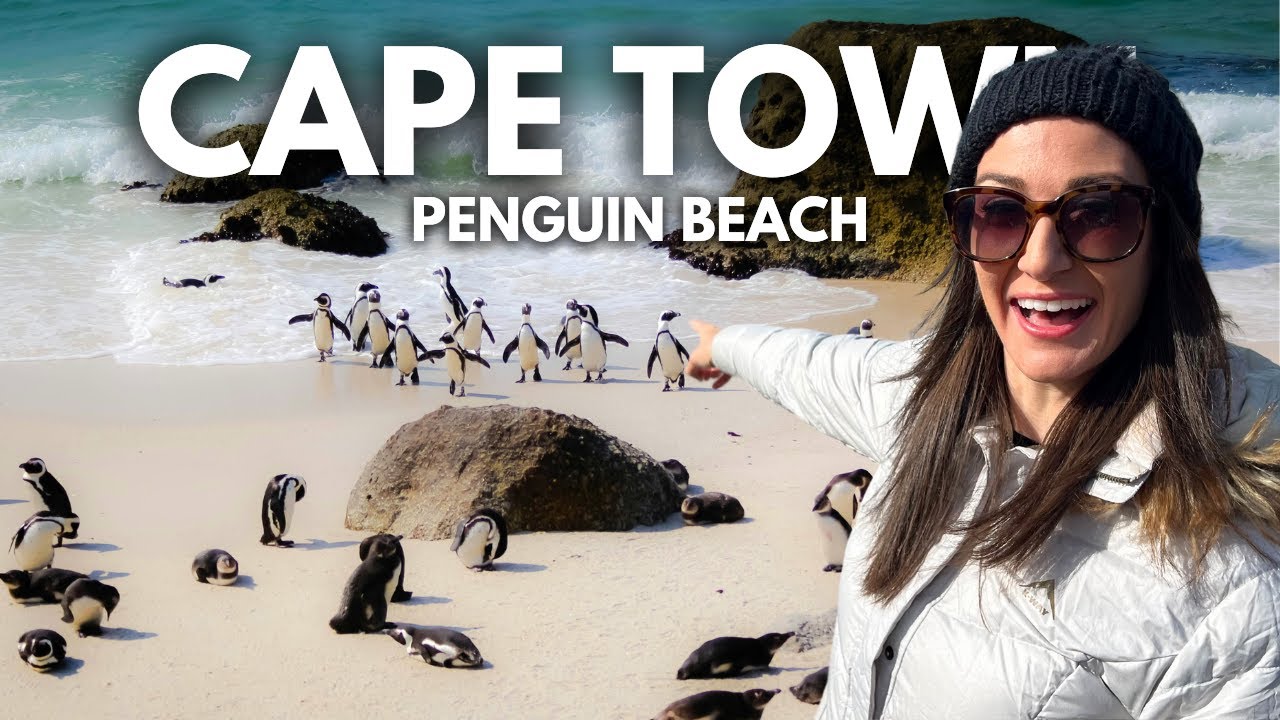 Visiting the Penguin Colony at Boulders Beach in Cape Town, South Africa! 🇿🇦