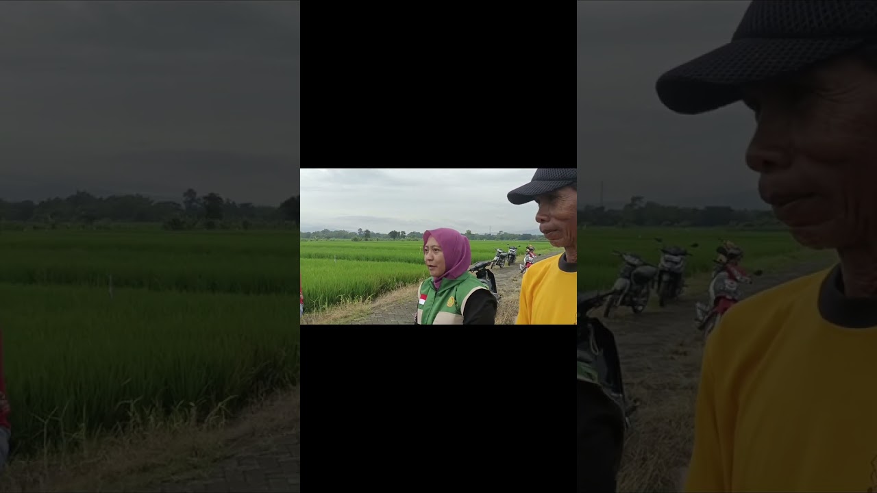 Pengendalian Tikus bersama Kelompok Tani Sumber Rejeki Pandaan