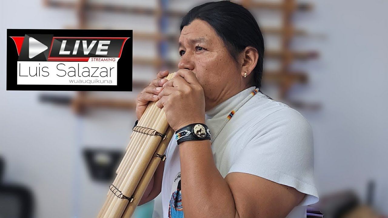 Surprise, Luis Wuauquikuna LIVE
