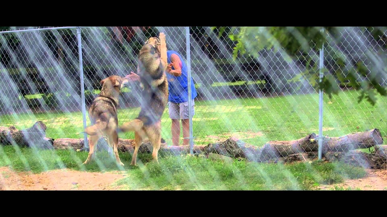 Aloha Safari Zoo - Rescued Exotic Animals
