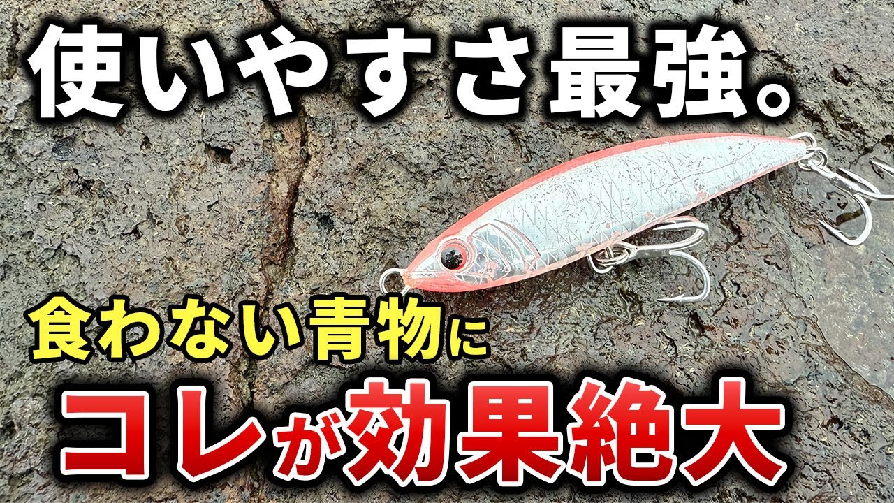 【即一軍確定】喰わない青物対策に超強力な新兵器が登場！！デイゲームで大型青物連発劇【ラッシュダイブ125実釣インプレ】