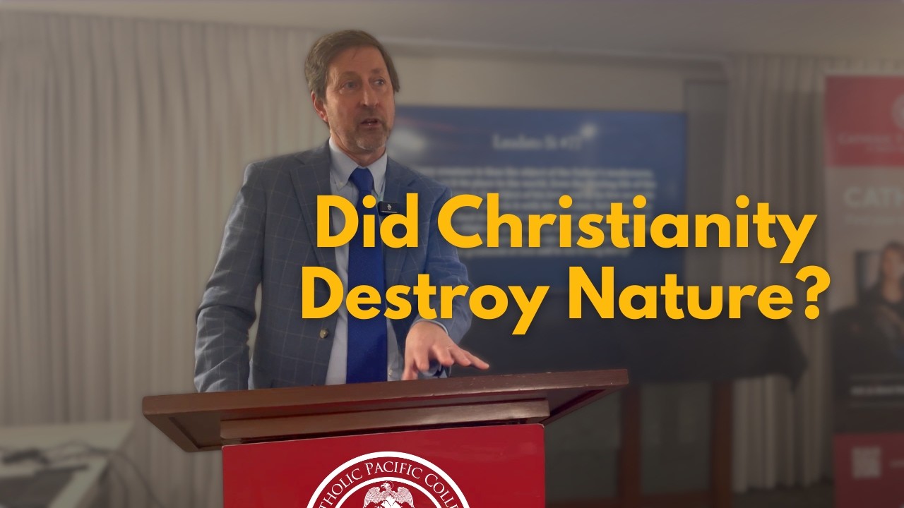 The World Was Never Just a Machine: A Catholic Vision of Nature That Science Is Rediscovering