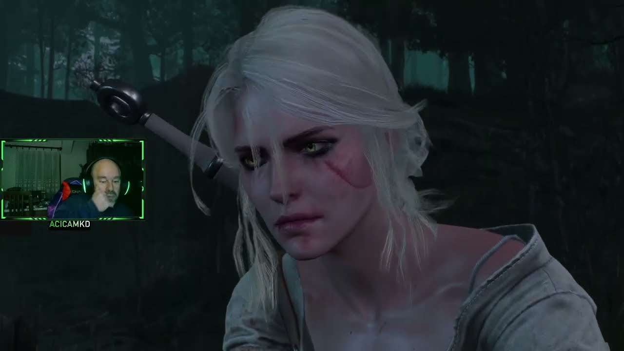 The Witcher 3 Wild Hunt  6#