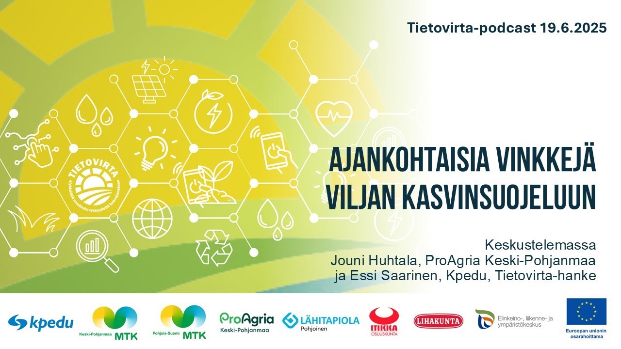 Ajankohtaisia vinkkejä viljan kasvinsuojeluun