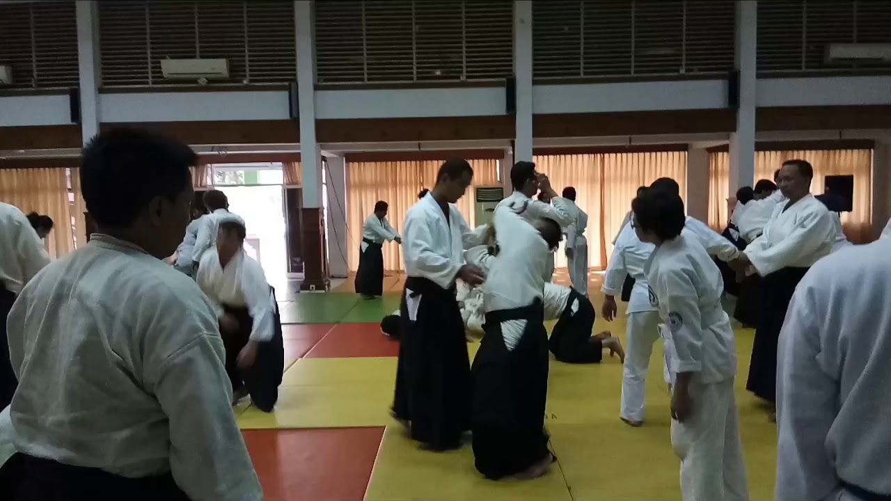 International Aikido Seminar 2018 with Makoto Ito Shihan - Session 3