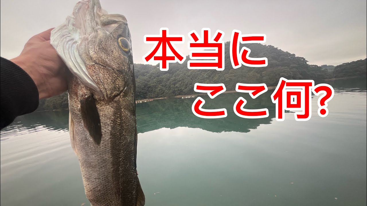 #2地元民しか来ない謎の水域、本気を出してきた。