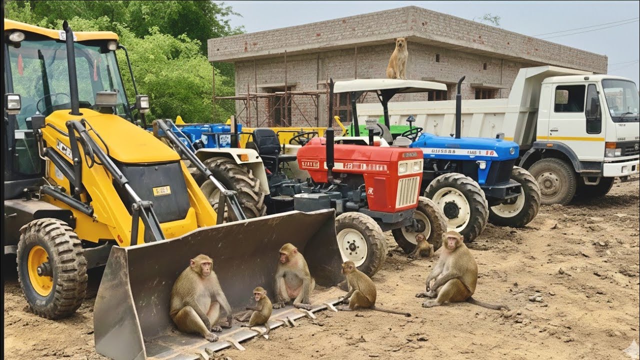 New JCB 3dx Backhoe Eco Xpert Machine Loading Mud in Swaraj Tractor And 4 TATA Dump Track 