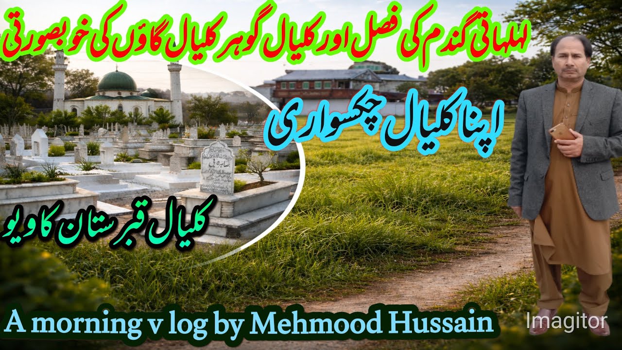 Amazing morning view of village Kalyal,Gohar Kalyal ,Gehli Kalyal and seasonal stream .