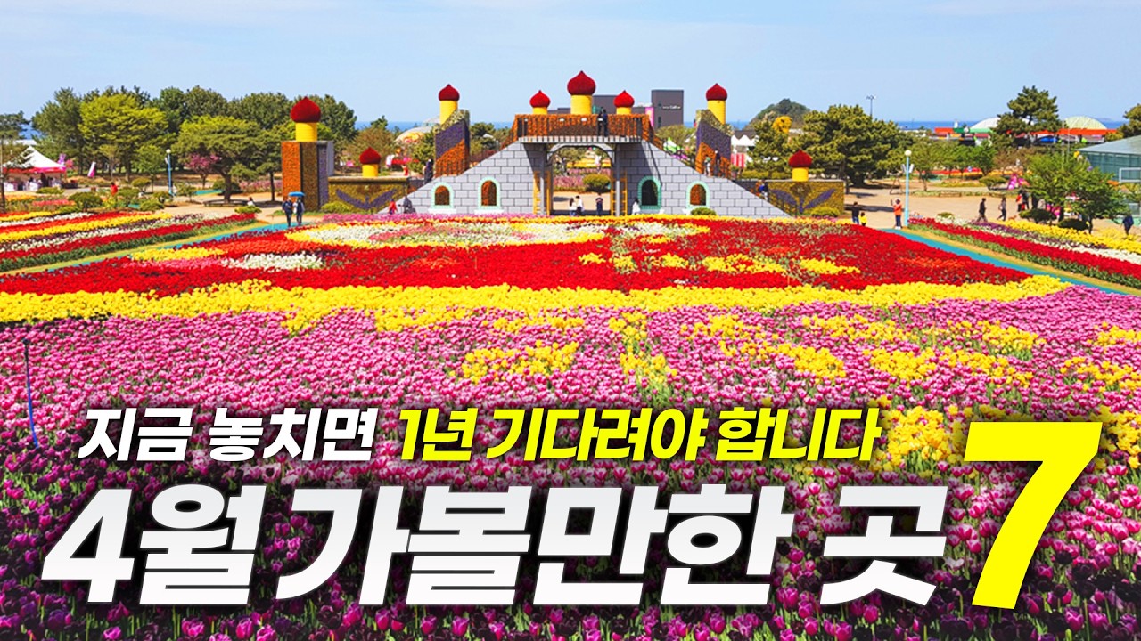 지금 한국에서 가장 예쁜 곳만 모았습니다ㅣ4월 가볼만한 곳 BEST 7 (+벚꽃축제 일정)