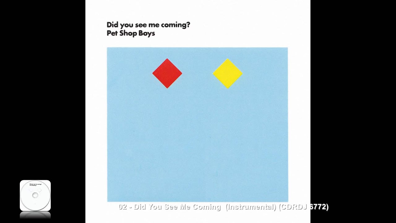 Pet Shop Boys - Did You See Me Coming  (Instrumental) (CDRDJ 6772)