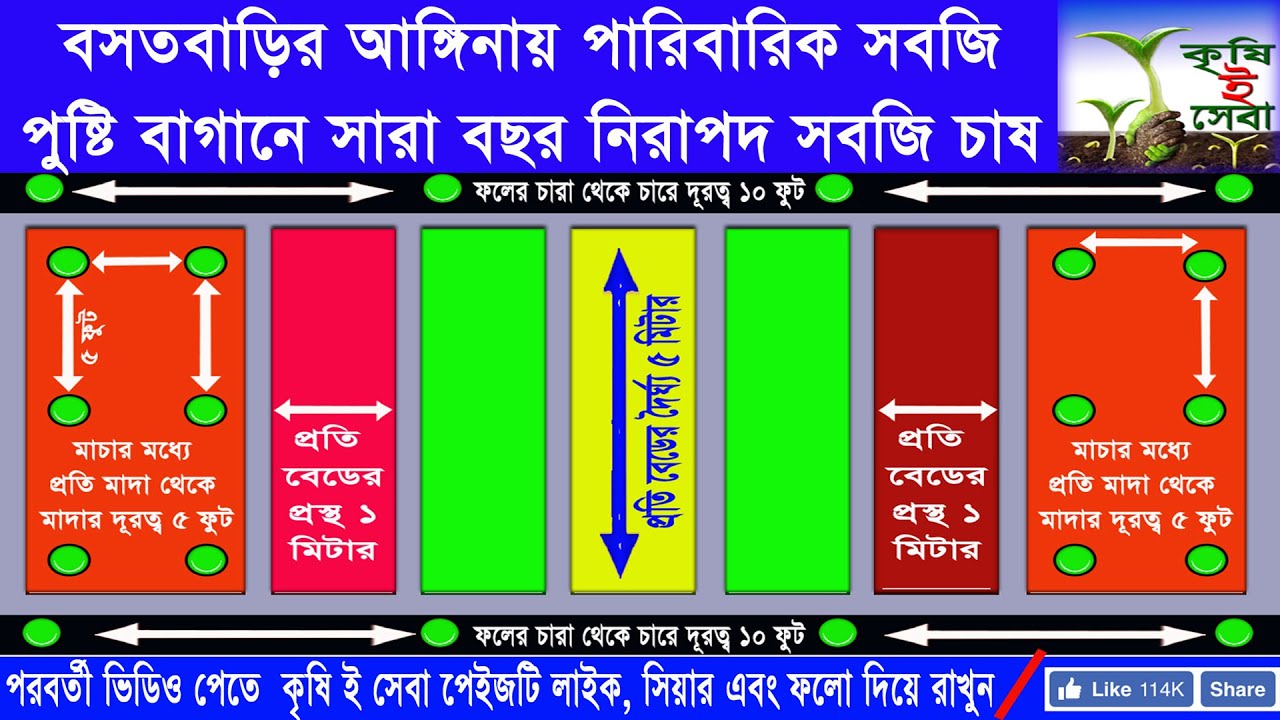 কিভাবে অনাবাদি পতিত জমি বসতবাড়ির আঙ্গিনায় পারিবারিক পুষ্টি বাগান করে সারাবছর সবজি চাষ করা যায়।