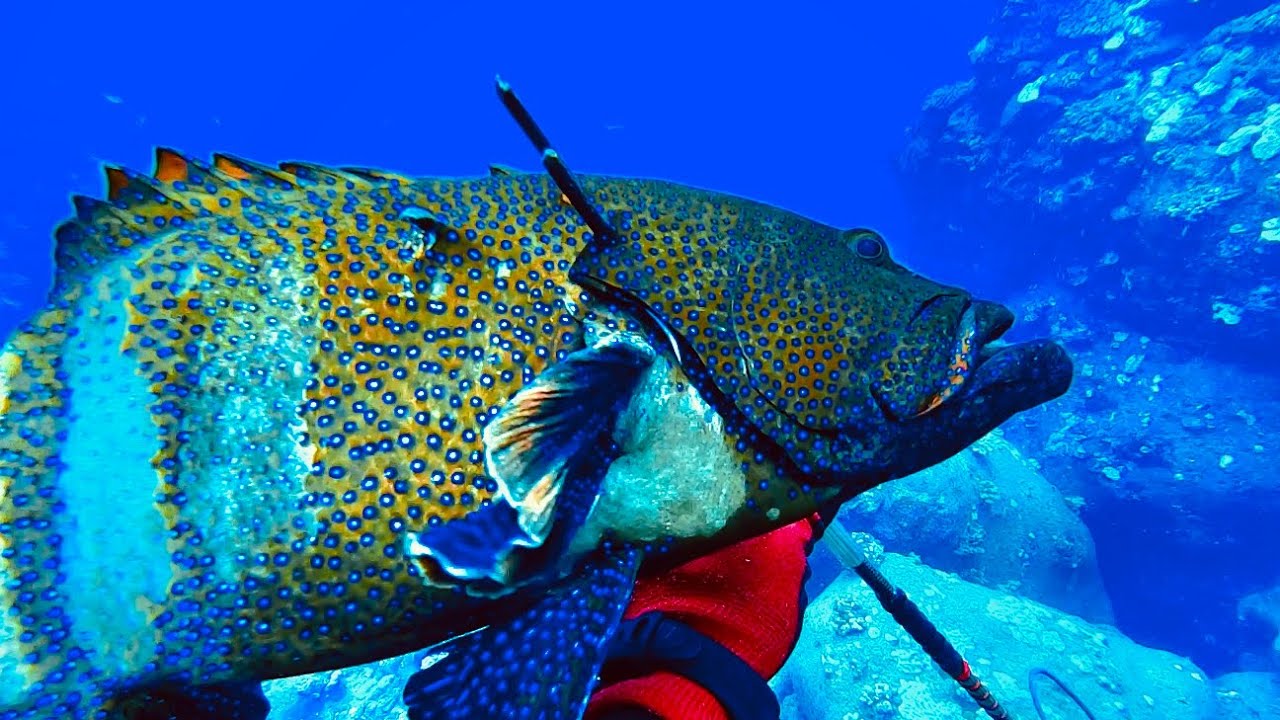 Spearfishing off a boat in Hawaii
