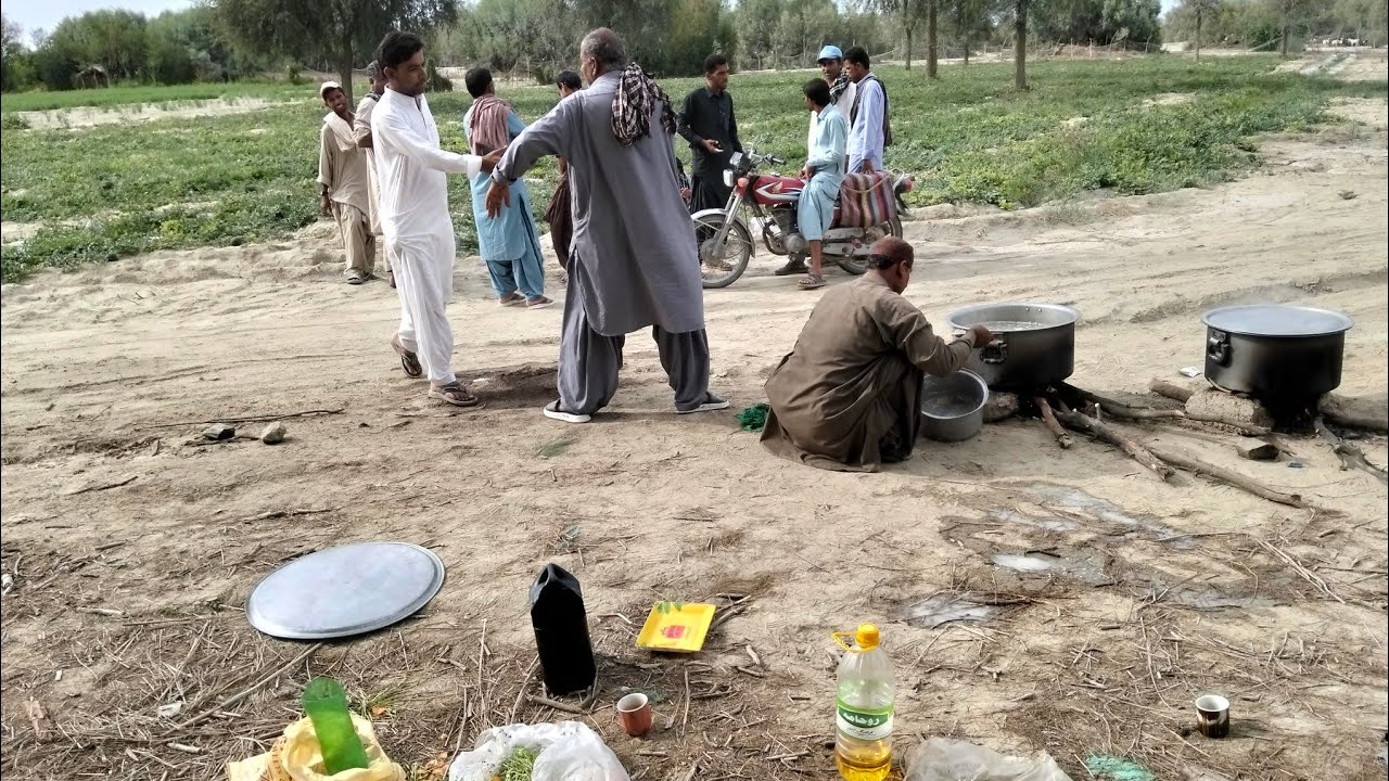 Picnic 