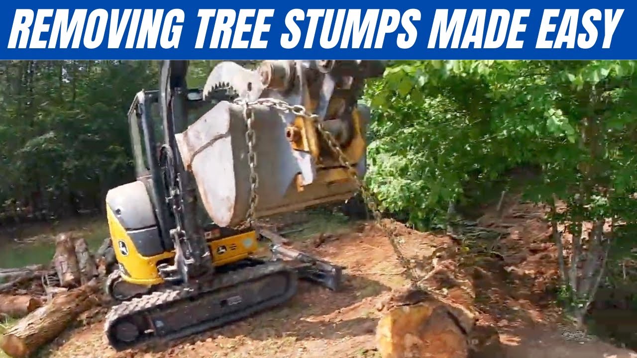 Removing Tree Stumps Forever Made Easy
