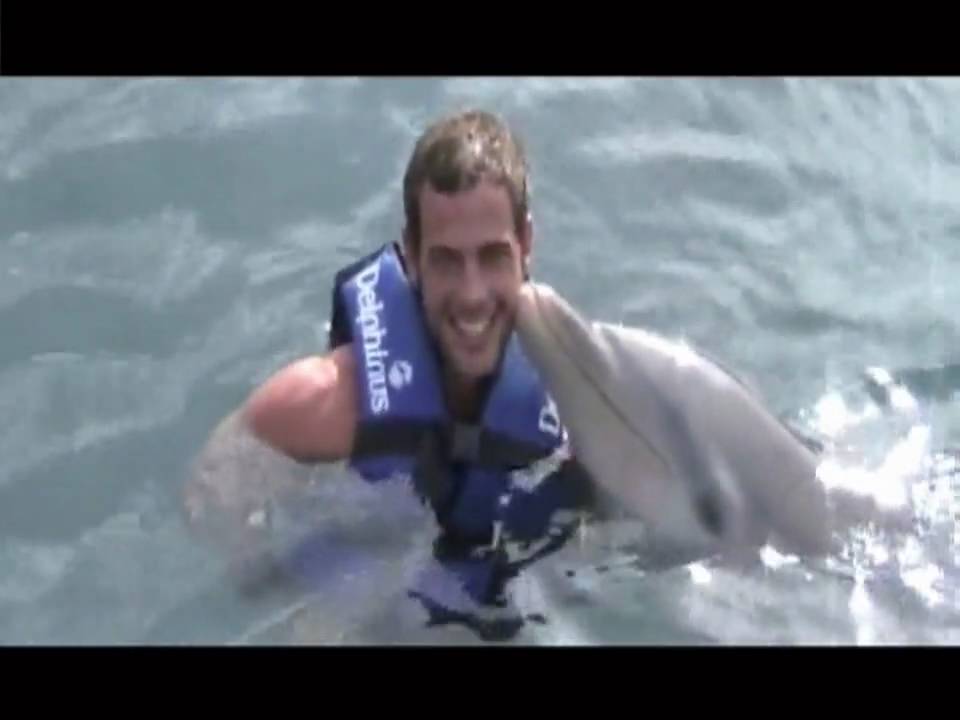 Exclusiva: William Levy nada con delfines con su pequeño en Delphinus Riviera Maya