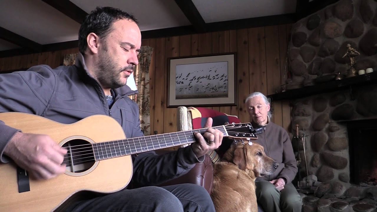Dave Matthews Performs 'Loving Wings'