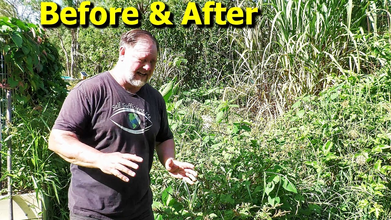 The REALITY of Maintaining a LARGE Food Garden