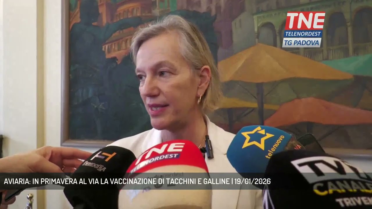 AVIARIA: IN PRIMAVERA AL VIA LA VACCINAZIONE DI TACCHINI E GALLINE | 19/01/2026