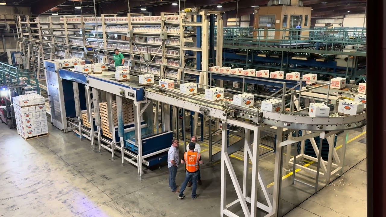 PTI High-Speed Palletizer and Accumulation in Action: Efficiency at its Finest!