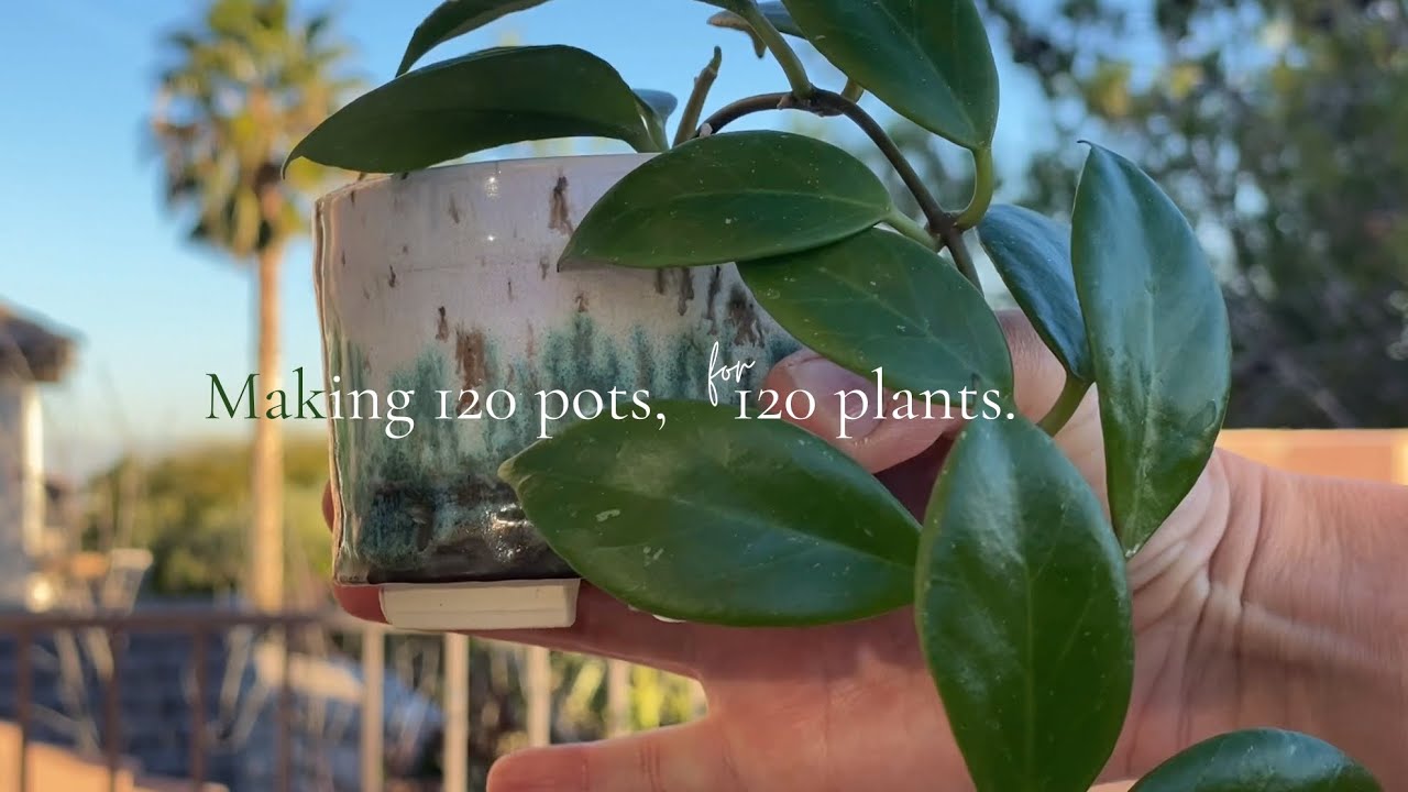 My first sale! Sharing my new handmade pots & potting my propagations into them. Ep.24 #plantchores 