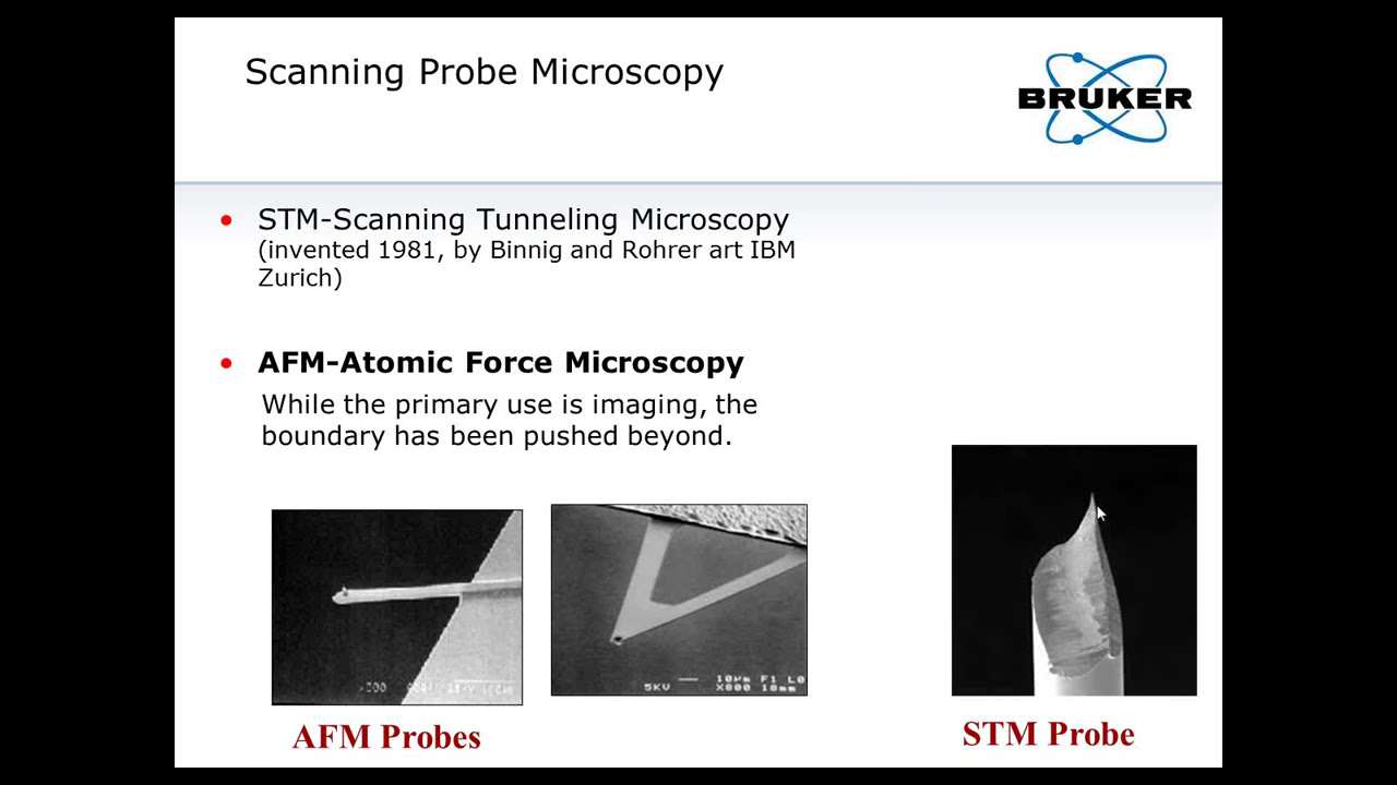 AFM | How Does Atomic Force Microscopy Work and What It Can Do | Bruker