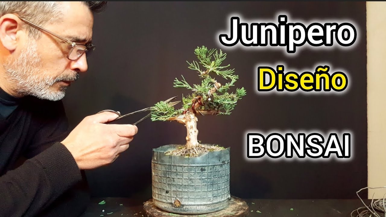 COMO HACER UN BONSAI EL DISEÑO!!! SUPER FACIL!!! PASO A PASO