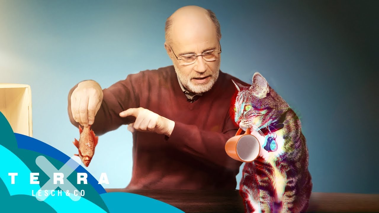 Schrödingers Katze – Tot oder lebendig? | Harald Lesch