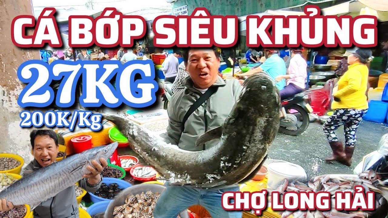 Chợ Long Hải - Cá Bớp Siêu Khủng 27 kg - 200K/Kg.